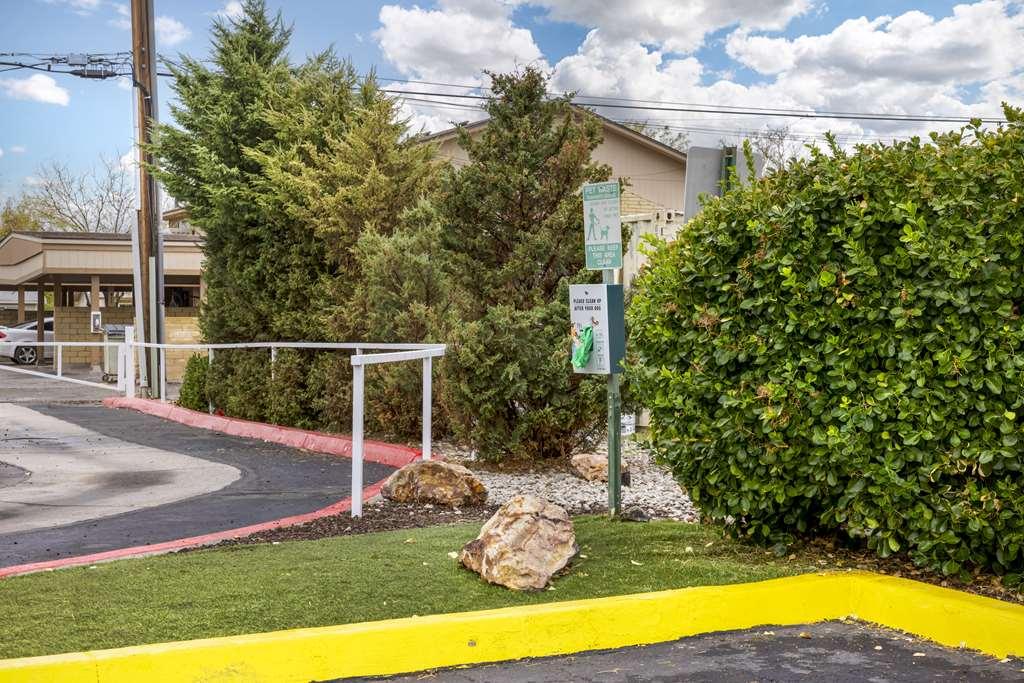 Best Western Fallon Inn & Suites Bekvämligheter bild